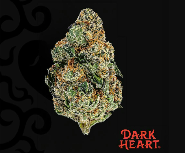 Berry Blintz Dark Heart Berry Blintz Dark Heart