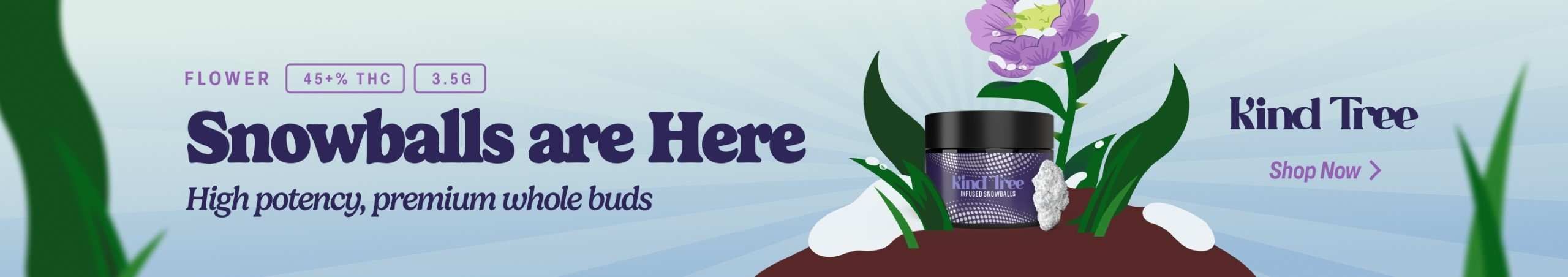 ✨NEW✨: KIND TREE SNOWBALLS ⛄🔥 Cannabis Promo, Cannabis Sales, Cannabis Discounts, Cannabis on Sale, ✨NEW✨: KIND TREE SNOWBALLS ⛄🔥