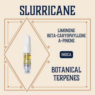 Slurricane Elevate