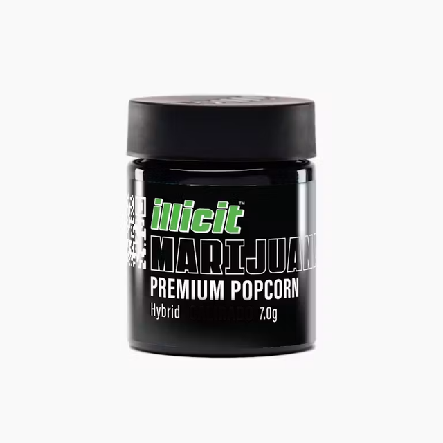 Mintlato Illicit Mintlato Illicit