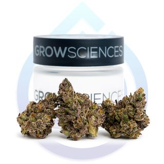 Bananaconda product