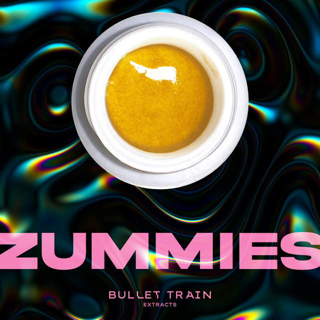 Zummies Bullet Train Zummies Bullet Train
