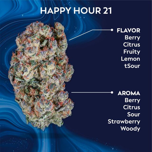 Happy Hour #21 Ozone Happy Hour #21 Ozone