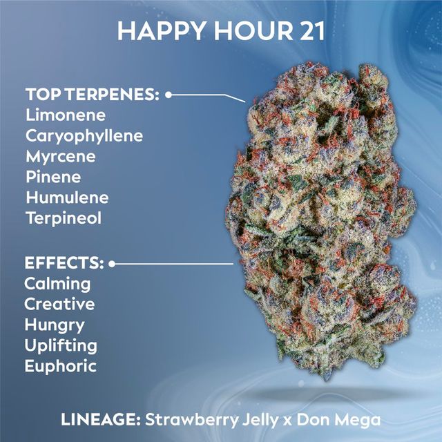 Happy Hour #21 Ozone Happy Hour #21 Ozone