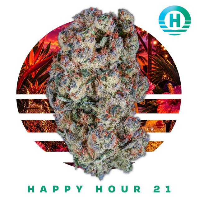 Happy Hour #21 Ozone Happy Hour #21 Ozone