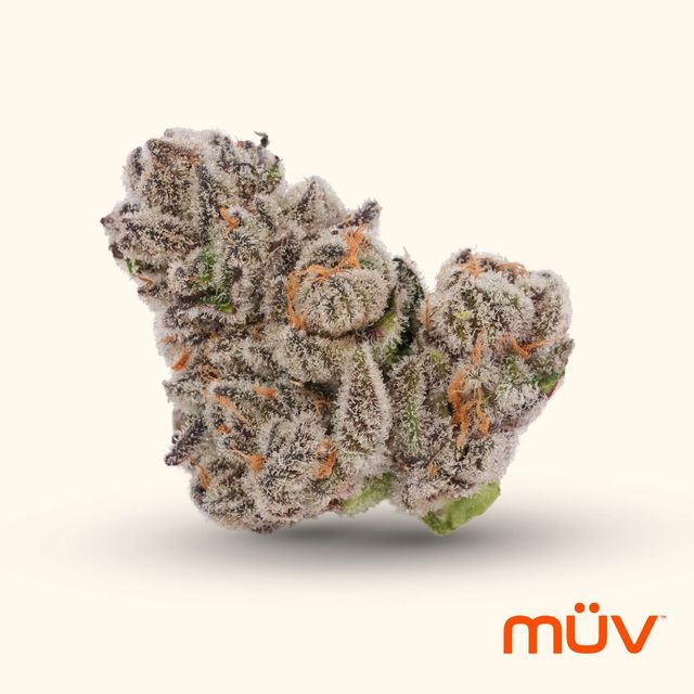 Glitter Bomb MÜV