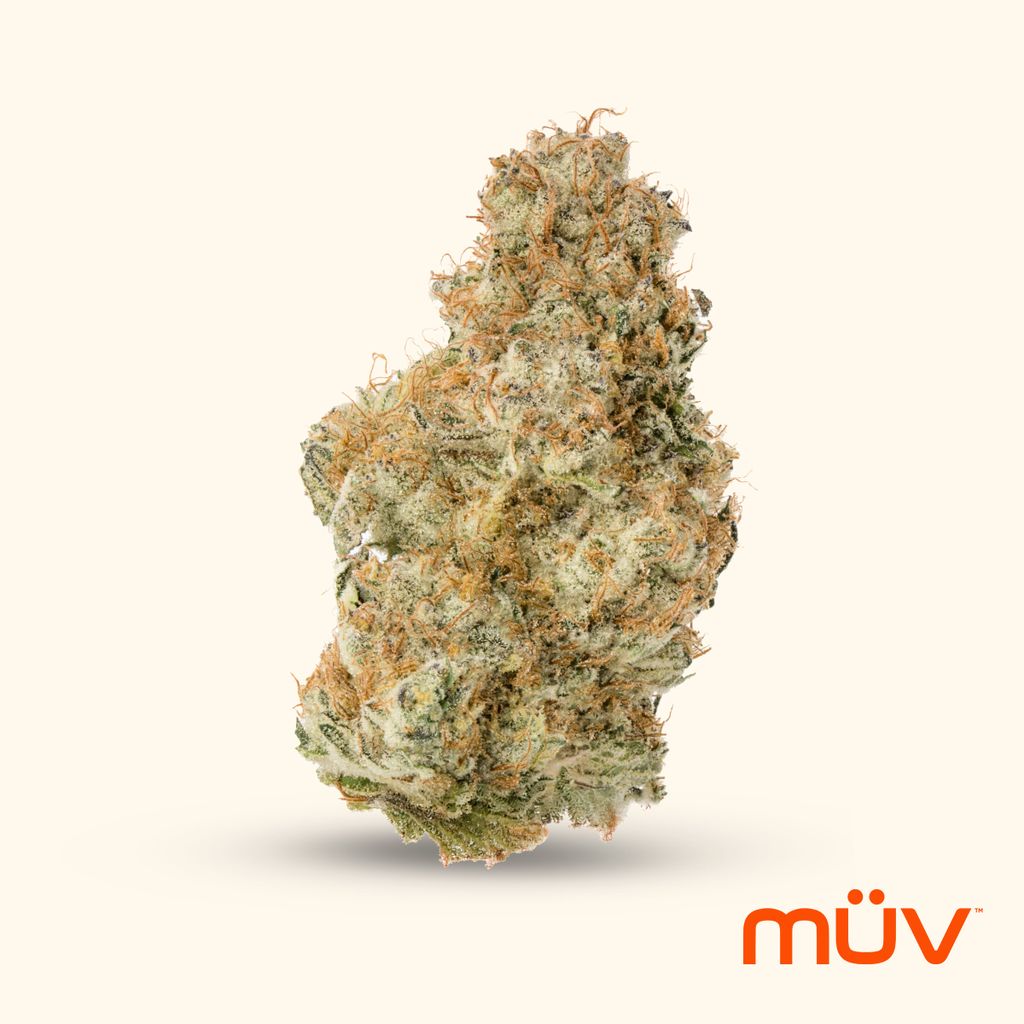 GMO Jungle Cake 28g