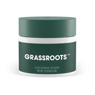 Cheddar Cheeze Grassroots