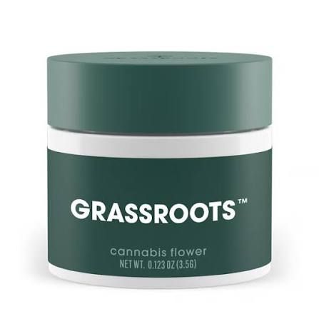 Jordanz Grassroots