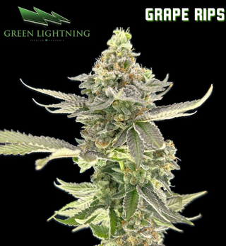 Grape Rips | 7g Smalls Green Lightning