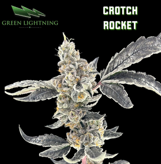 Crotch Rocket | 7g Smalls Green Lightning