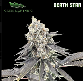 Death Star | 7g Smalls Green Lightning