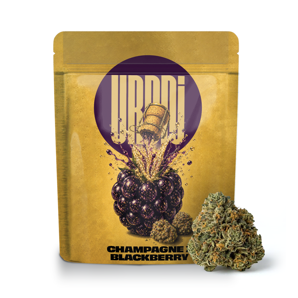 Champagne x Blackberry