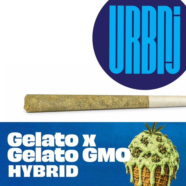 Gelato x Gelato GMO URBNJ