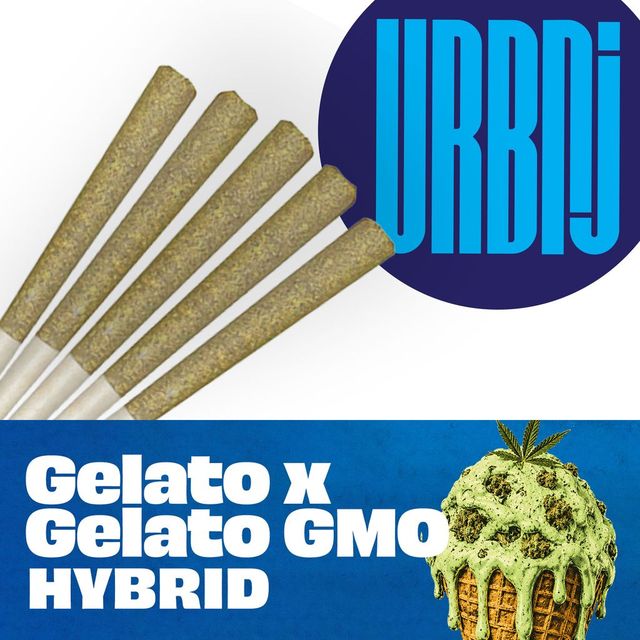 Gelato x Gelato GMO URBNJ