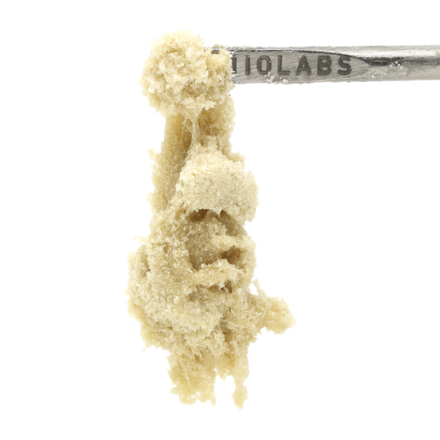 GG4 Persy 710 Labs GG4 Persy 710 Labs