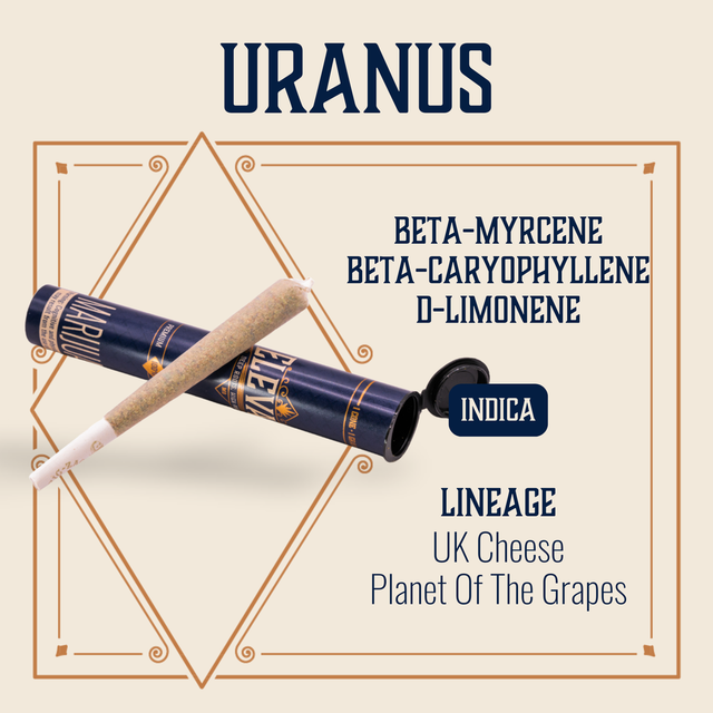 Uranus Elevate Uranus Elevate