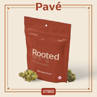 Pave Rooted