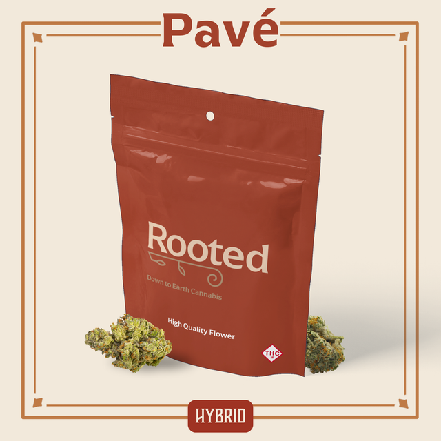 Pave Rooted