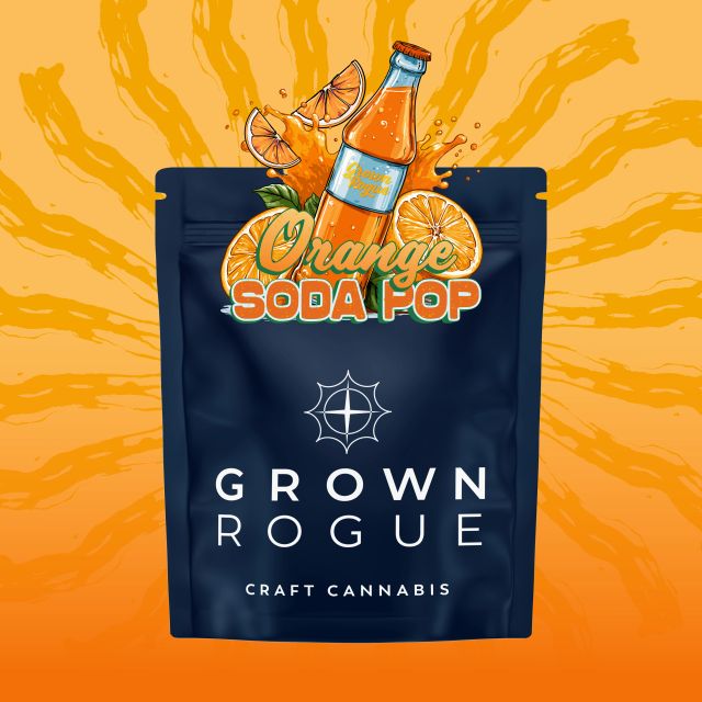 Orange Soda Pop Grown Rogue