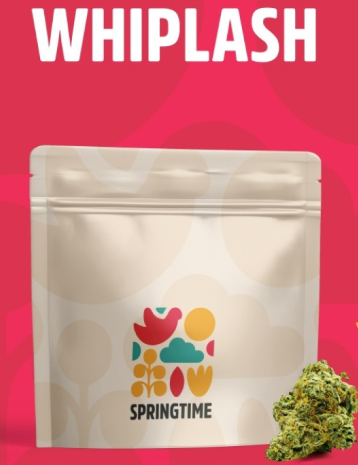 Whiplash | 3.5g Flower Springtime Whiplash | 3.5g Flower Springtime