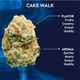 Cake Walk Ozone Cake Walk Ozone
