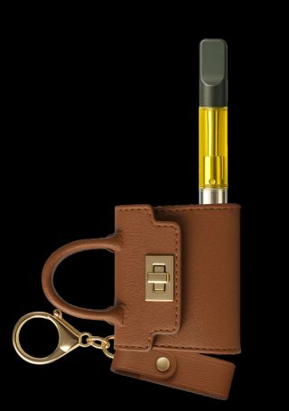 Pursejamin Smyle Labs