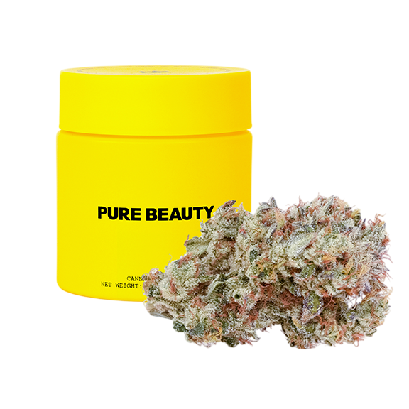 Mango Mintality Pure Beauty