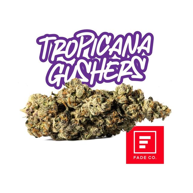 Tropicana Gushers Fade Co. Tropicana Gushers Fade Co.
