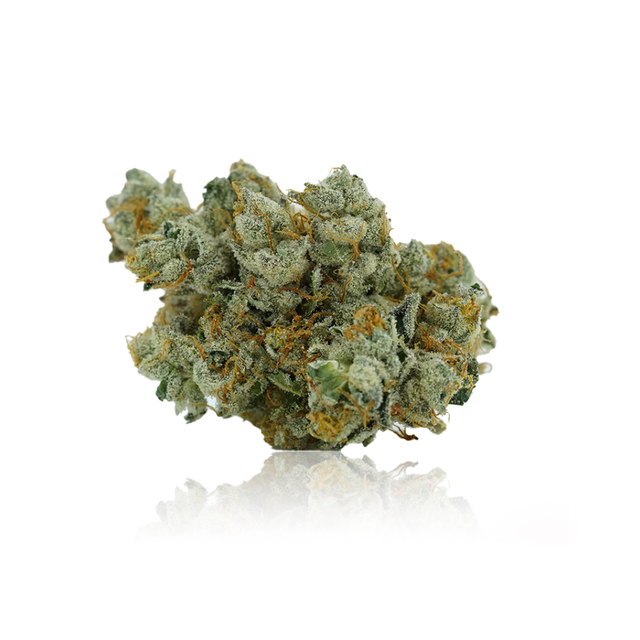 Surfside OG Knack