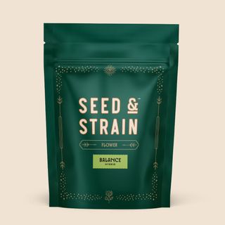 Crotch Rocket Seed & Strain