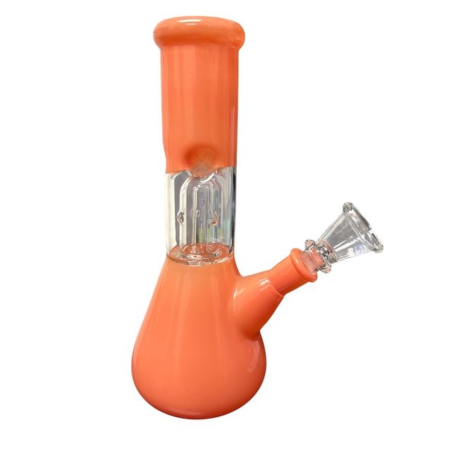 8" Dome Perc Bisa Lina