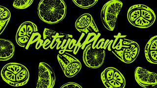 Cherry Bands Poetry of Plants