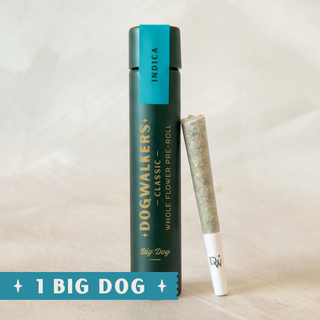Easy Bake Dogwalkers