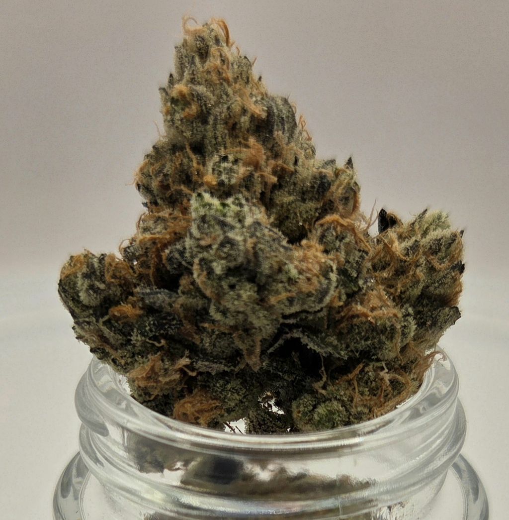 Fuel Jar