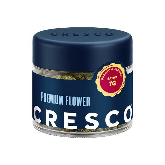 Mango Mintality Cresco