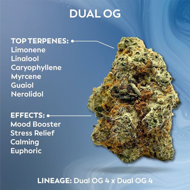 Dual OG Ozone Dual OG Ozone
