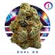 Dual OG Ozone Dual OG Ozone