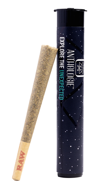 Kashmir Kush The Vault
