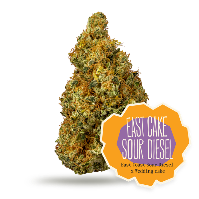 East Coast Sour Diesel District Cannabis