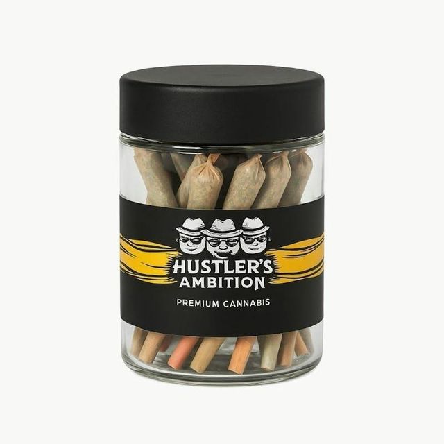 Gelato Mintz Hustlers Ambition