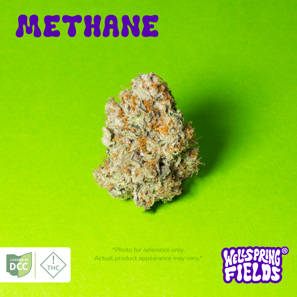 Methane, Wellspring Fields