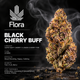 Black Cherry Buff Flora Black Cherry Buff Flora