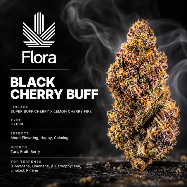 Black Cherry Buff Flora Black Cherry Buff Flora