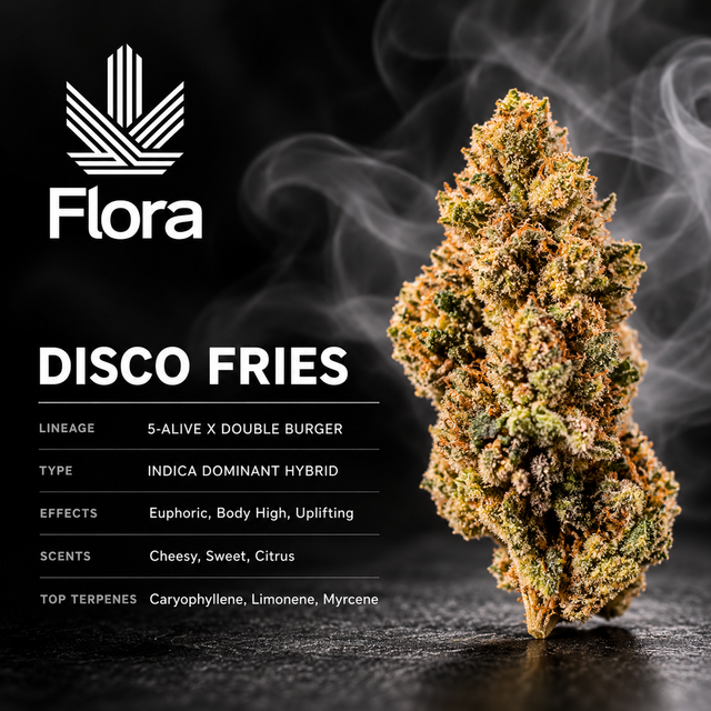 Disco Fries Flora Disco Fries Flora