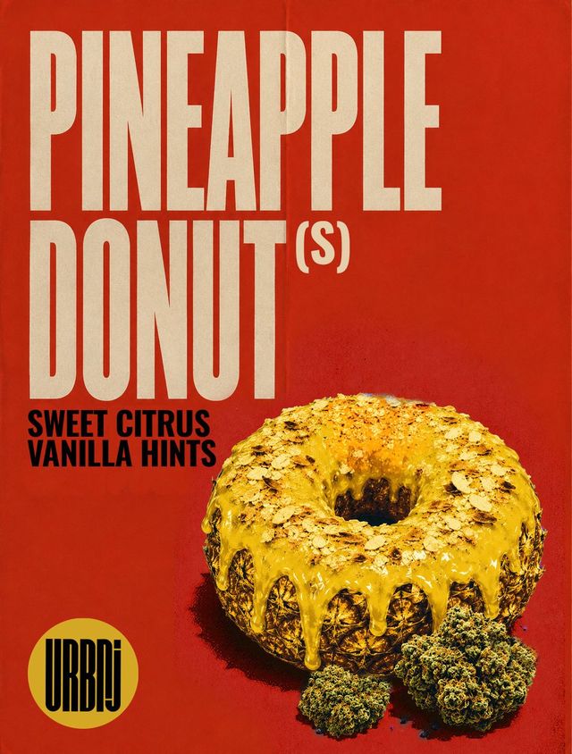 Pineapple Donut URBNJ