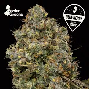 Heir Heads X Zuava Garden Greens