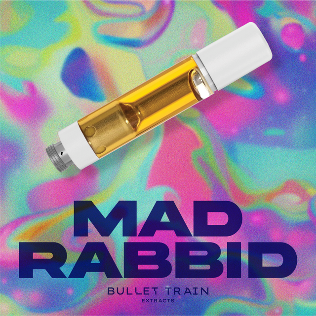 Mad Rabbid Bullet Train