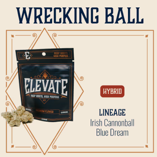 Wrecking Ball Elevate