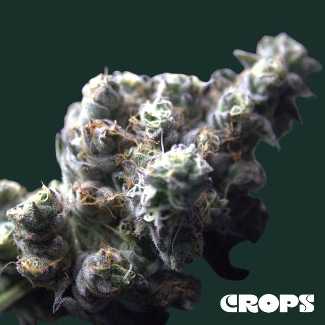SOAP Crops SOAP Crops